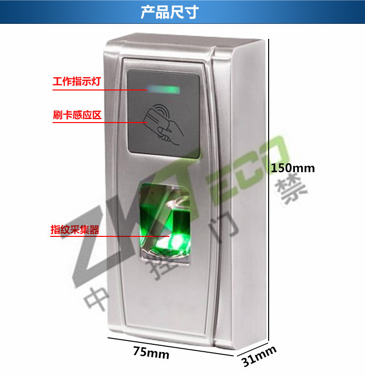 彩屏網絡考勤門禁